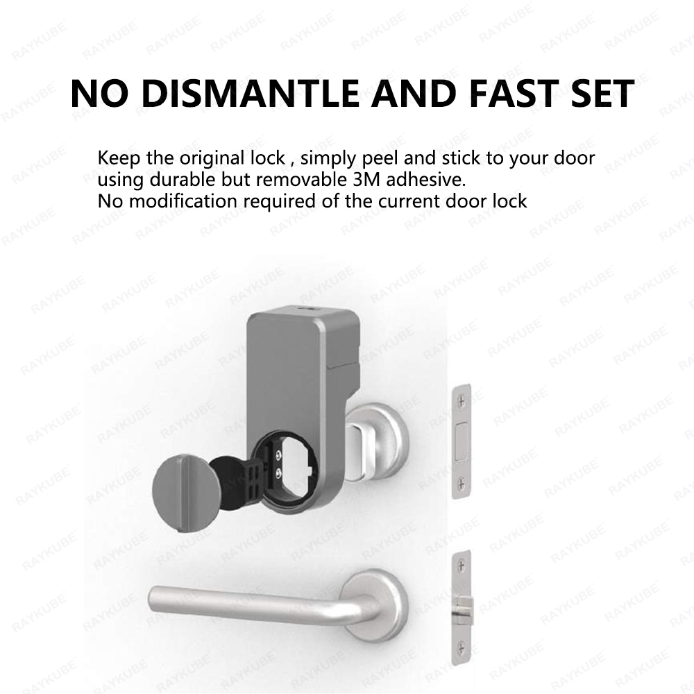 RAYKUBE A1 Pro Tuya BEL Smart  - đánh giá và giá Door Lock Smart Keypad