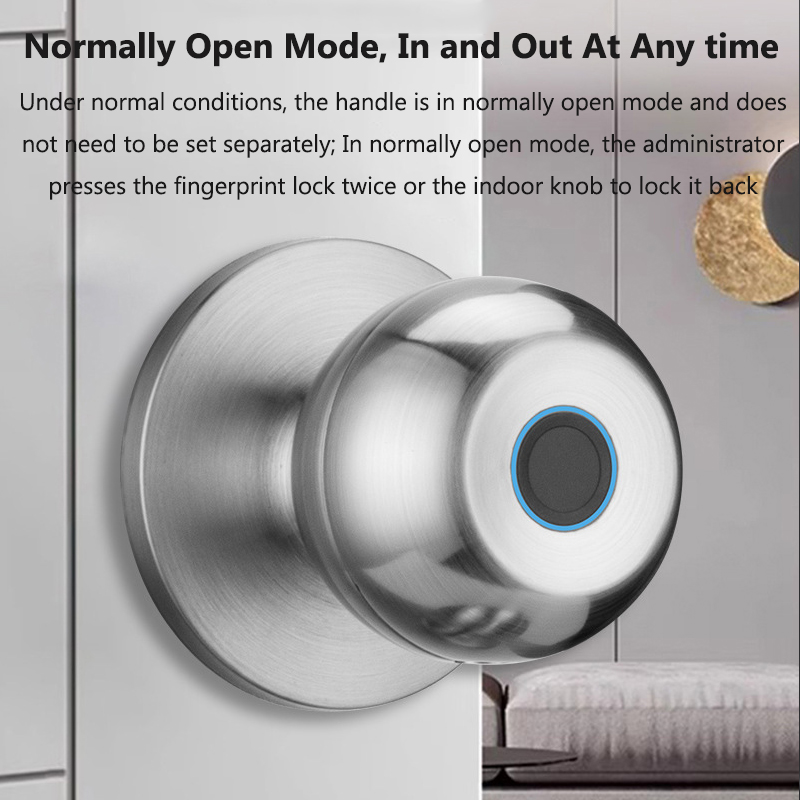 Tuya Door Lock Smart Fingerpri - đánh giá và giá Door Lock Smart Keypad