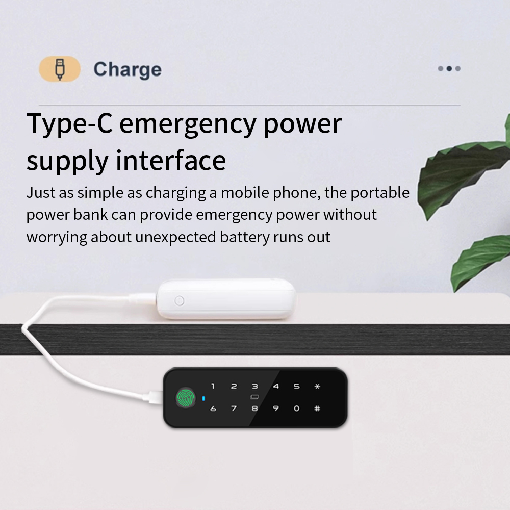 Tuya Bluetooth Smart Wood Cabi - đánh giá và giá Home Security Door Lock