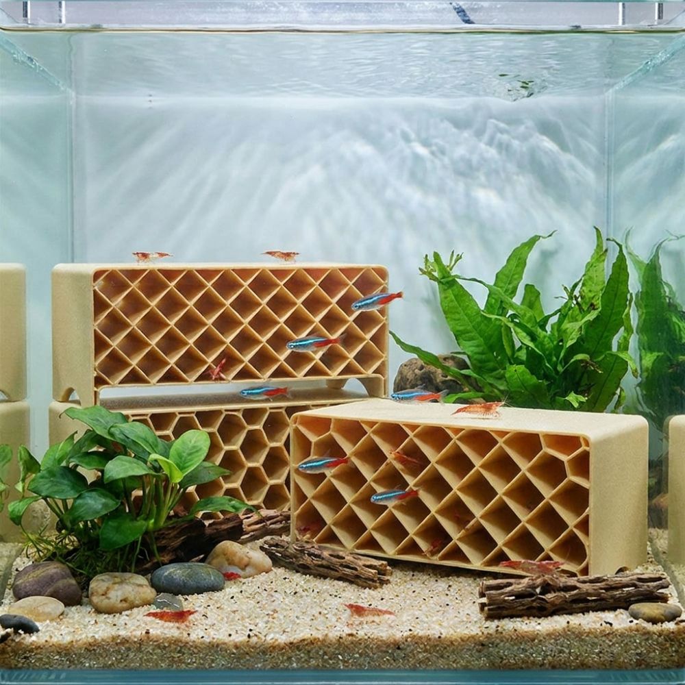 3D Printed Fish Shrimp Hideout - đánh giá và giá Home Security Measures