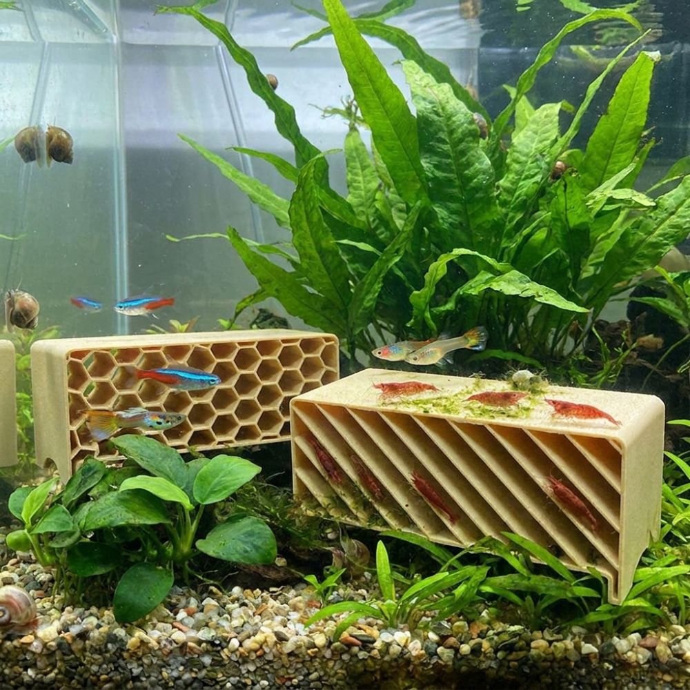 3D Printed Fish Shrimp Hideout - đánh giá và giá Home Security Measures