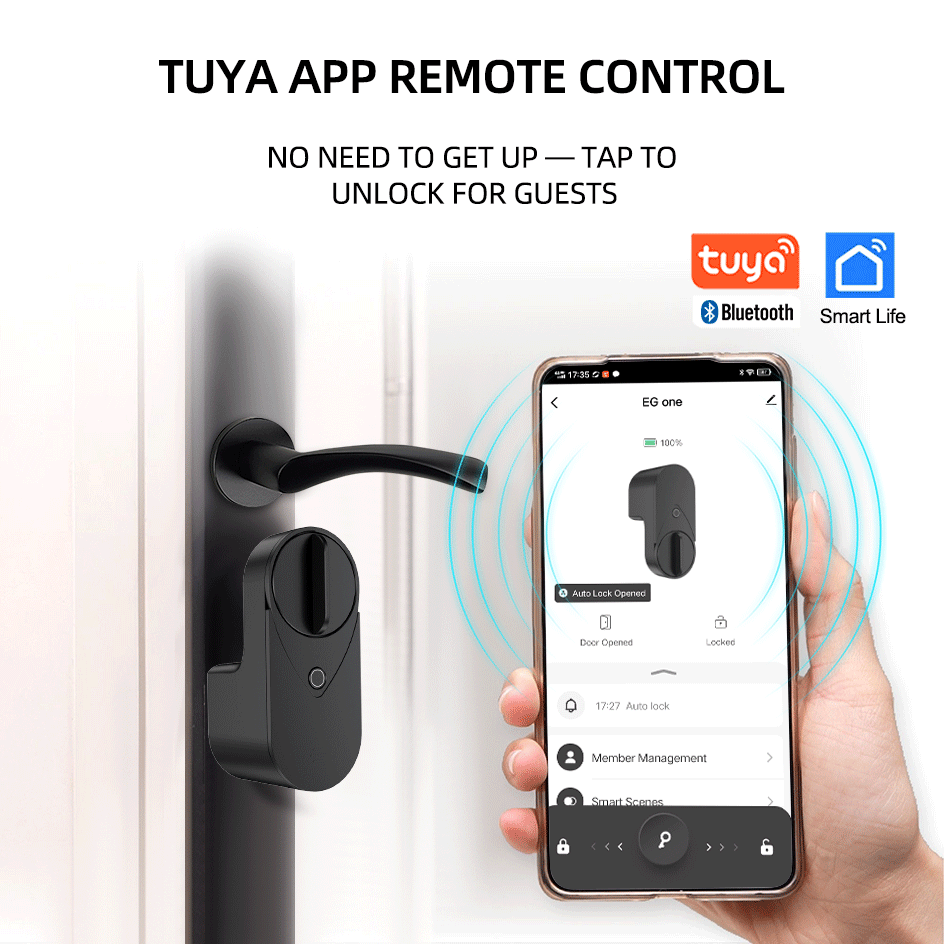 RAYKUBE EG One Tuya BLE Smart  - đánh giá và giá Door Lock Smart Keypad