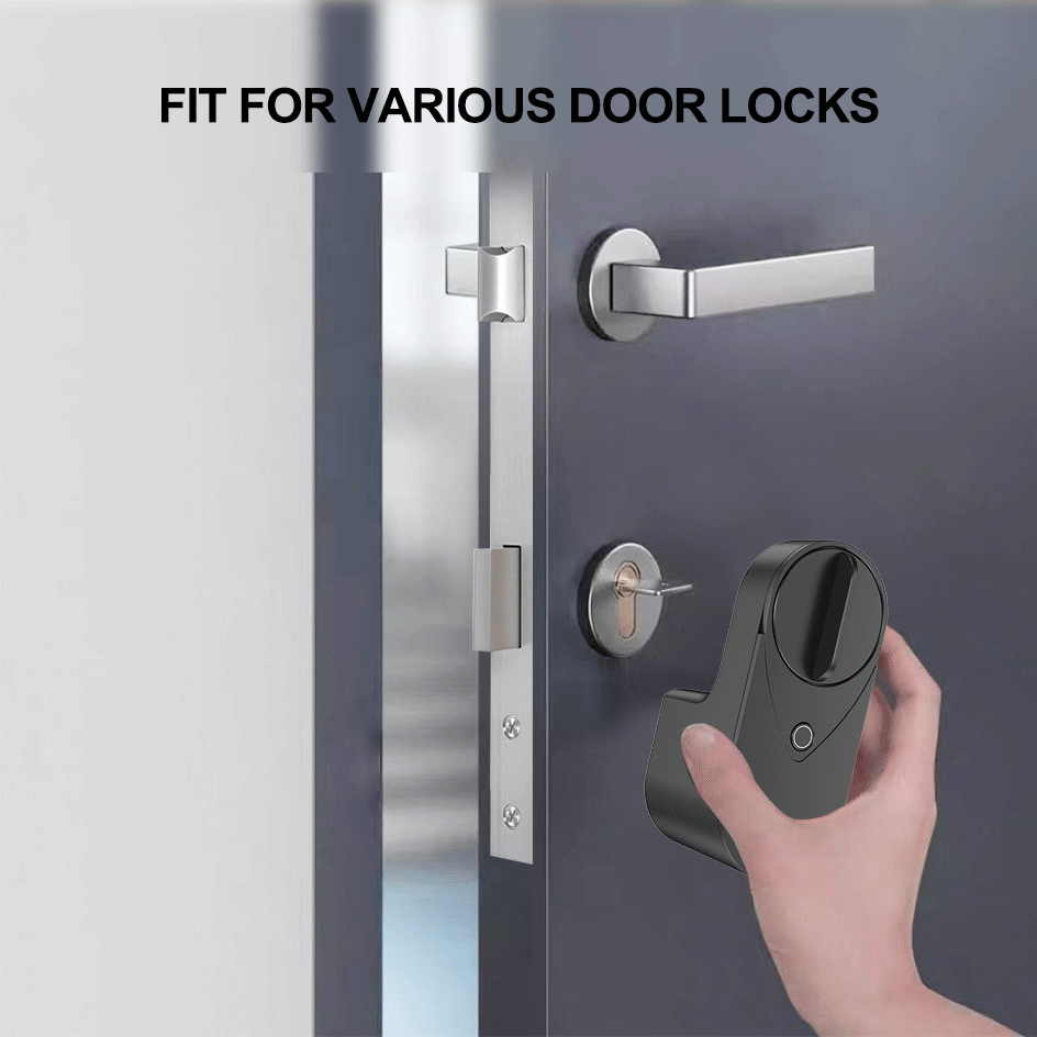 RAYKUBE EG One Tuya BLE Smart  - đánh giá và giá Door Lock Smart Keypad